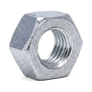 Hex Nut